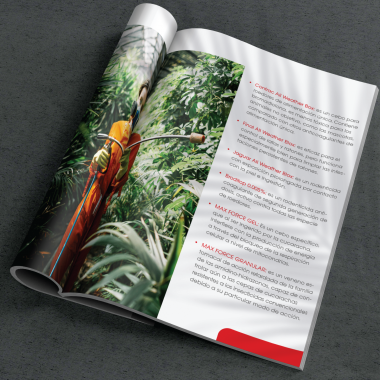 Diseño de Catálogo